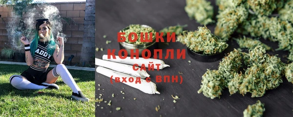 тгк Майский