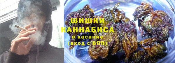 тгк Майский