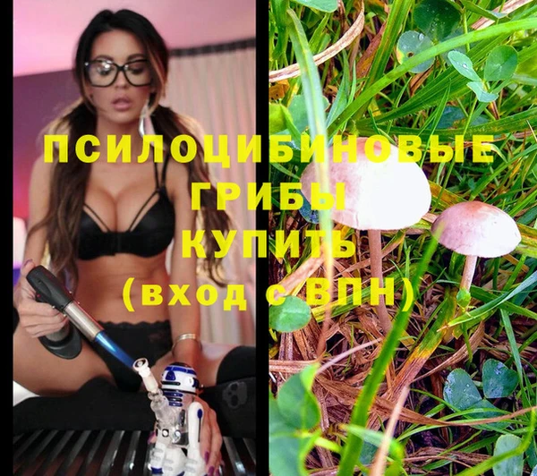 тгк Майский