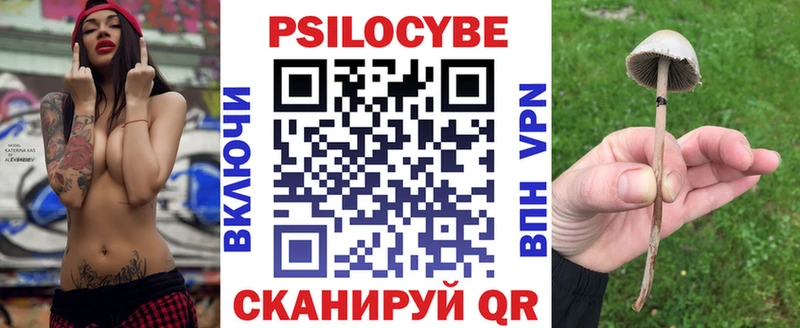 Купить где  Кирсанов  Псилоцибиновые грибы Cubensis 